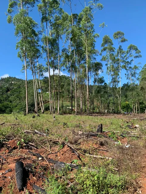 Foto 1 de Lote/Terreno à venda, 500m² em Santa Isabel, Domingos Martins