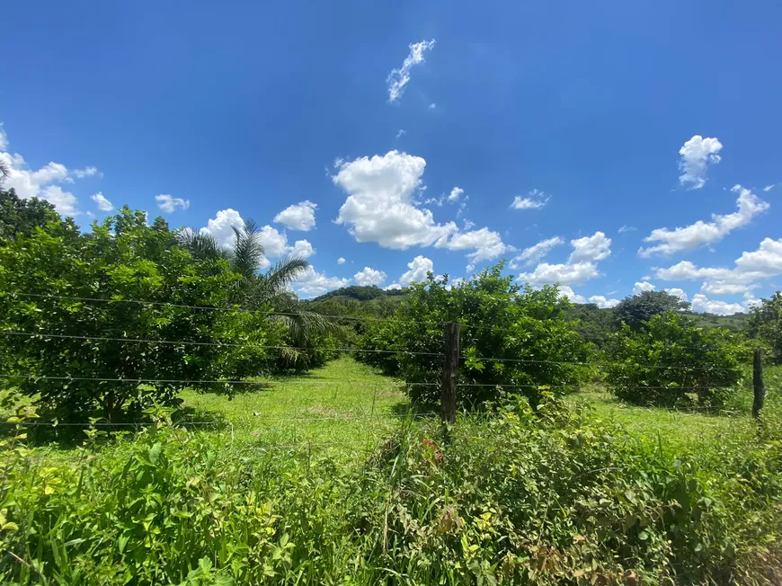 Foto 1 de Fazenda/Sítio com 3 Quartos à venda, 184525m² em Setor Central, Caldazinha