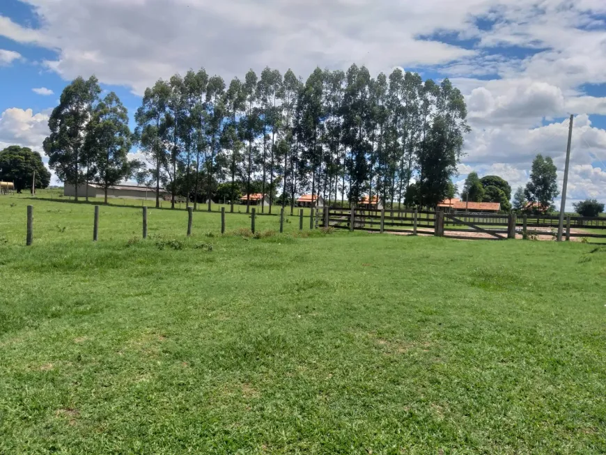 Foto 1 de Fazenda/Sítio à venda em Jardim Urano, São José do Rio Preto