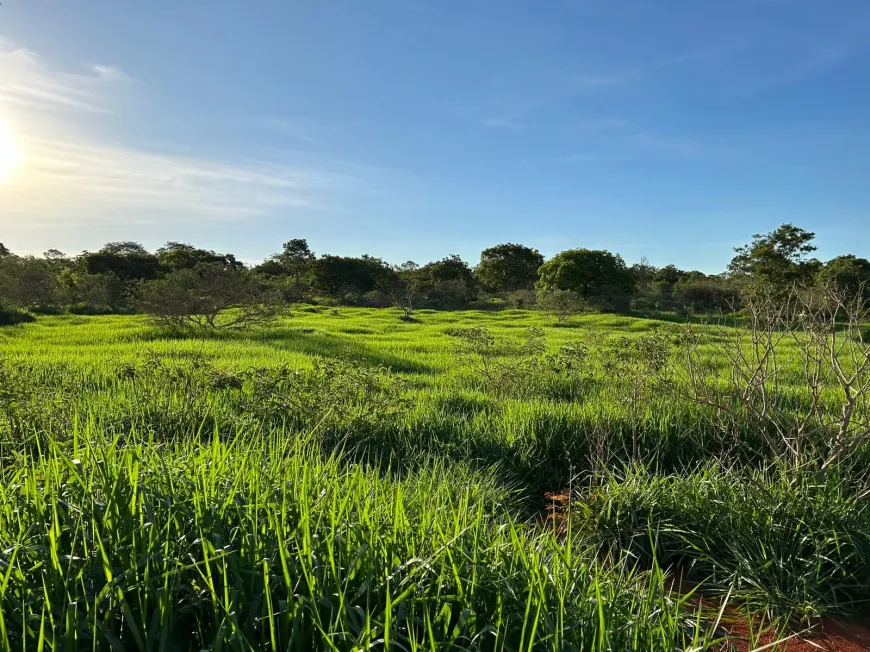 Foto 1 de Lote/Terreno à venda, 20000m² em Zona Rural, Jequitibá