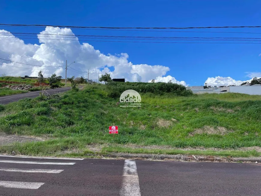 Foto 1 de Lote/Terreno à venda, 360m² em Cascavel Velho, Cascavel