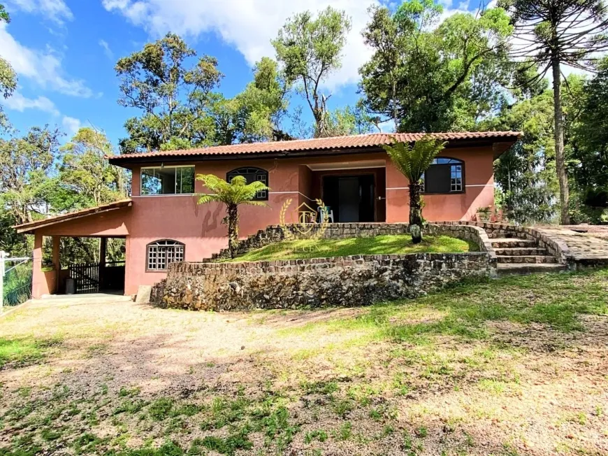 Foto 1 de Fazenda/Sítio com 4 Quartos à venda, 8000m² em Faxina, São José dos Pinhais