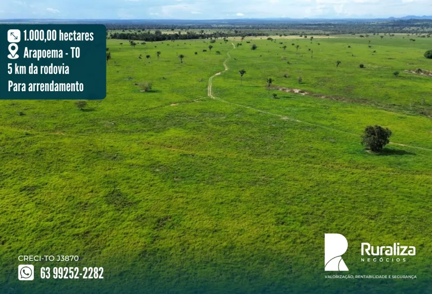 Foto 1 de Fazenda/Sítio à venda, 1000m² em Zona Rural, Arapoema