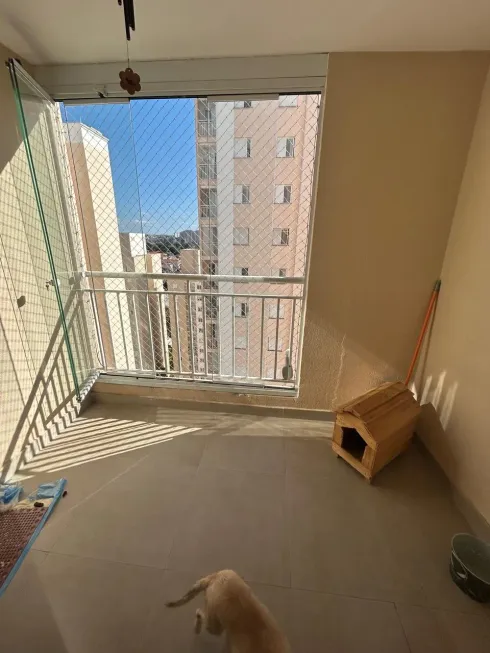 Foto 1 de Apartamento com 3 Quartos para alugar, 76m² em Vila das Belezas, São Paulo