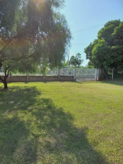 Foto 1 de Fazenda/Sítio com 3 Quartos à venda, 1000m² em Areia Branca, São José do Rio Preto