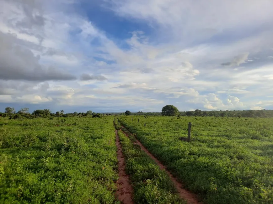 Foto 1 de Fazenda/Sítio à venda, 11374m² em , São Félix do Xingu