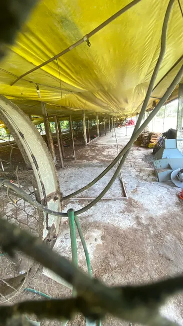 Foto 1 de Fazenda/Sítio com 3 Quartos à venda, 19900m² em , São José de Ribamar