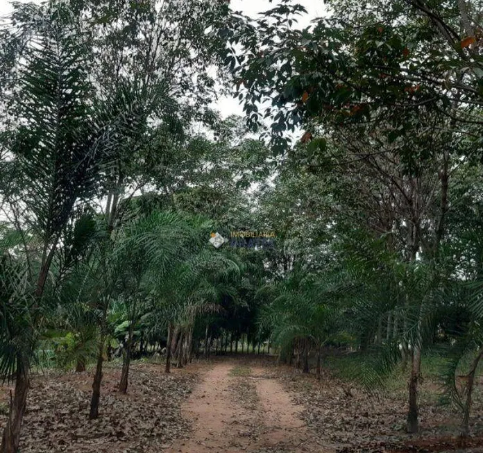 Foto 1 de Fazenda/Sítio com 2 Quartos à venda, 242000m² em , Macaubal