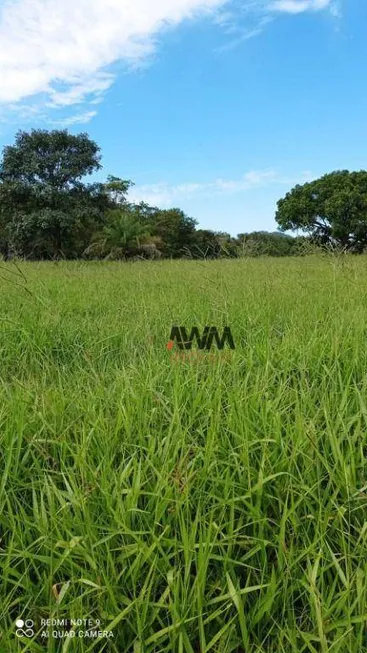 Foto 1 de Fazenda/Sítio à venda, 2444000m² em Zona Rural, Novo Brasil