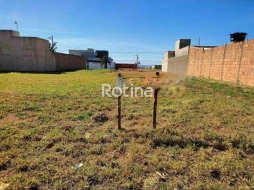 Foto 1 de Lote/Terreno à venda, 250m² em Minas Gerais, Uberlândia