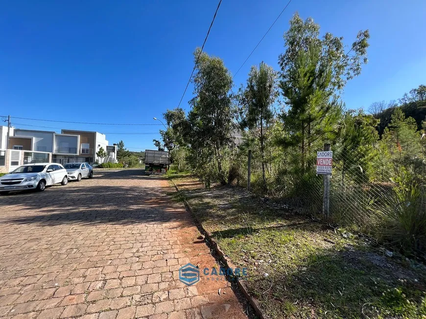 Foto 1 de Lote/Terreno à venda, 420m² em São Luiz da Sexta Légua, Caxias do Sul