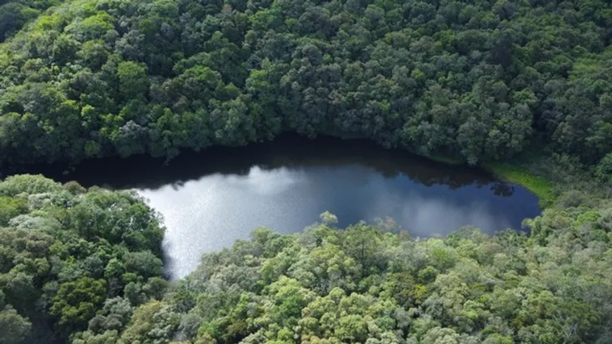 Foto 1 de Fazenda/Sítio com 1 Quarto à venda, 20000m² em Bocaiuva Do Sul, Bocaiúva do Sul