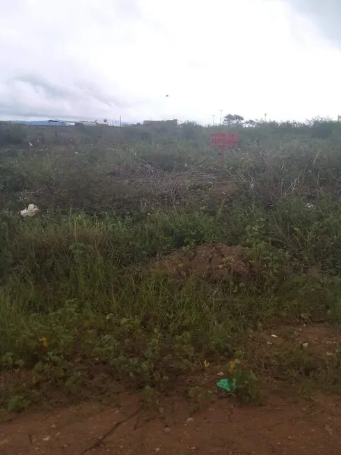 Foto 1 de Lote/Terreno à venda, 35m² em Centro, Campo do Brito