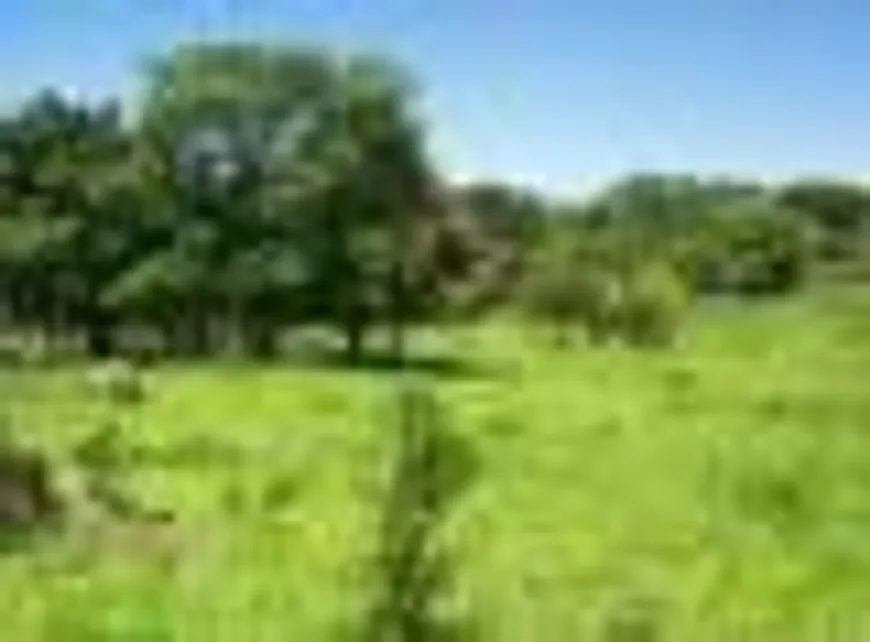 Foto 1 de Fazenda/Sítio com 2 Quartos à venda, 100m² em Jardim Carlos Gomes, Campinas