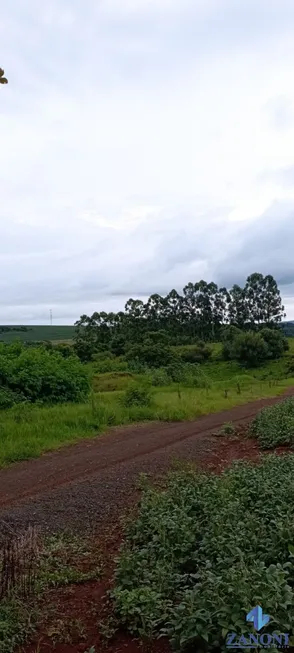 Foto 1 de Fazenda/Sítio à venda, 484000000m² em Parque Alvamar, Sarandi