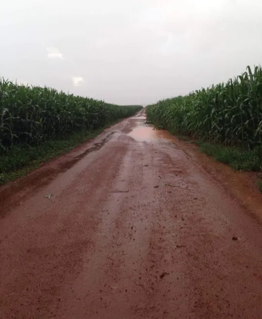 Foto 1 de Fazenda/Sítio à venda em Centro, Cristalina