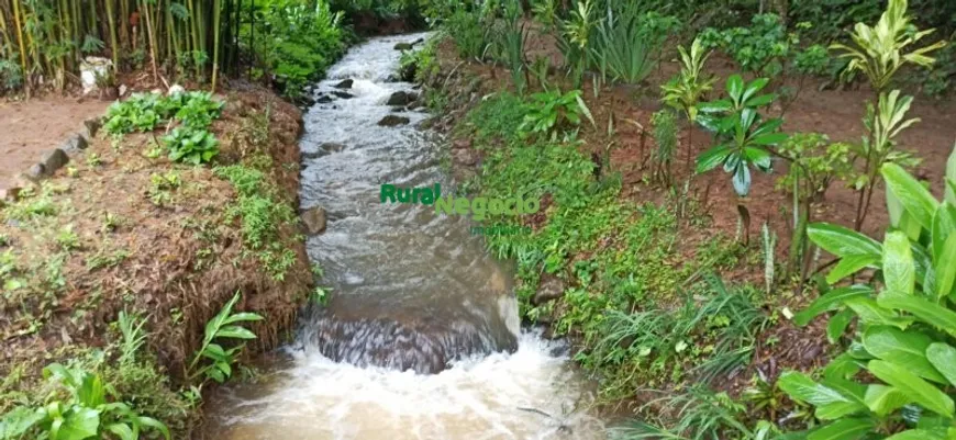 Foto 1 de Fazenda/Sítio à venda, 6800m² em Centro, Passa Quatro