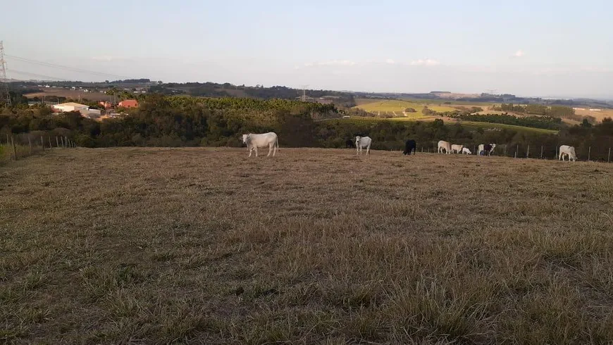 Foto 1 de Fazenda/Sítio à venda, 20000m² em Benfica, Elias Fausto