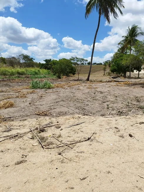 Foto 1 de Lote/Terreno à venda em Caja, Carpina