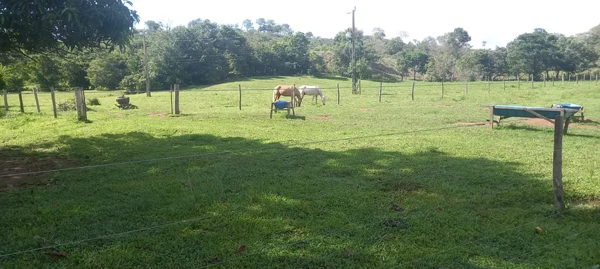 Foto 1 de Fazenda/Sítio à venda, 110m² em Area Central, Palmas