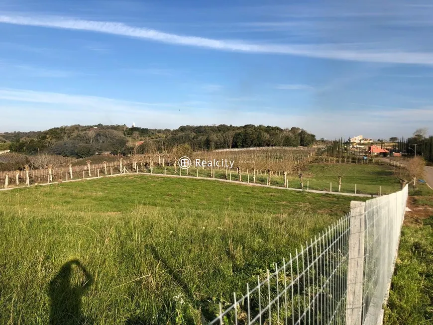 Foto 1 de Lote/Terreno à venda, 3210m² em Vale dos Vinhedos, Bento Gonçalves