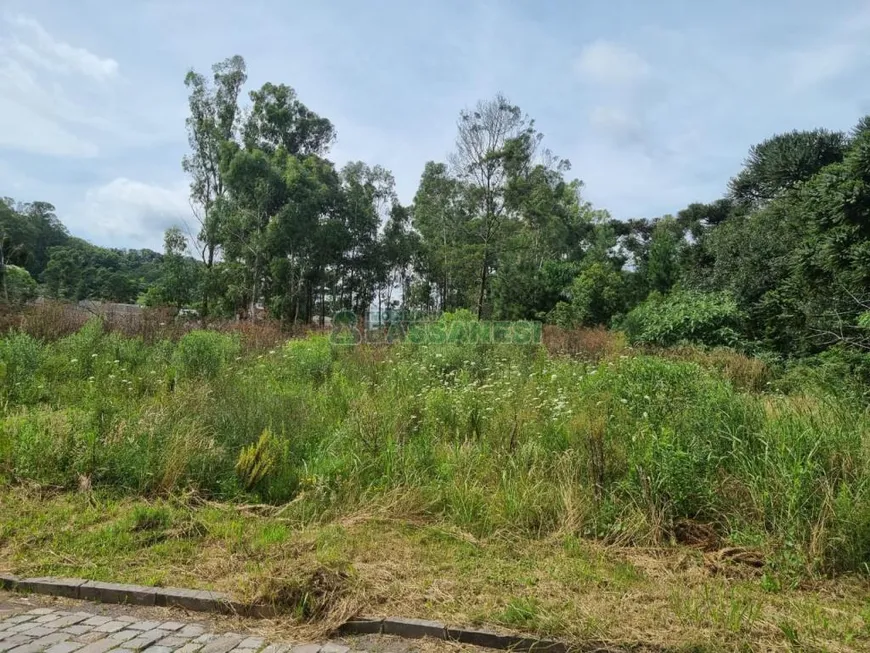 Foto 1 de Lote/Terreno à venda em De Zorzi, Caxias do Sul