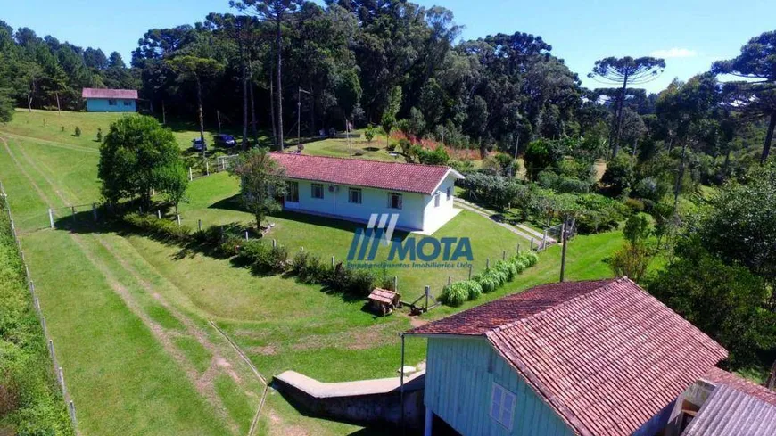 Foto 1 de Fazenda/Sítio com 3 Quartos à venda, 225m² em Contenda, São José dos Pinhais