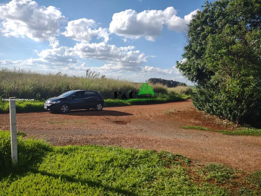 Foto 1 de Fazenda/Sítio à venda, 39442m² em Palmeiras, Iracemápolis