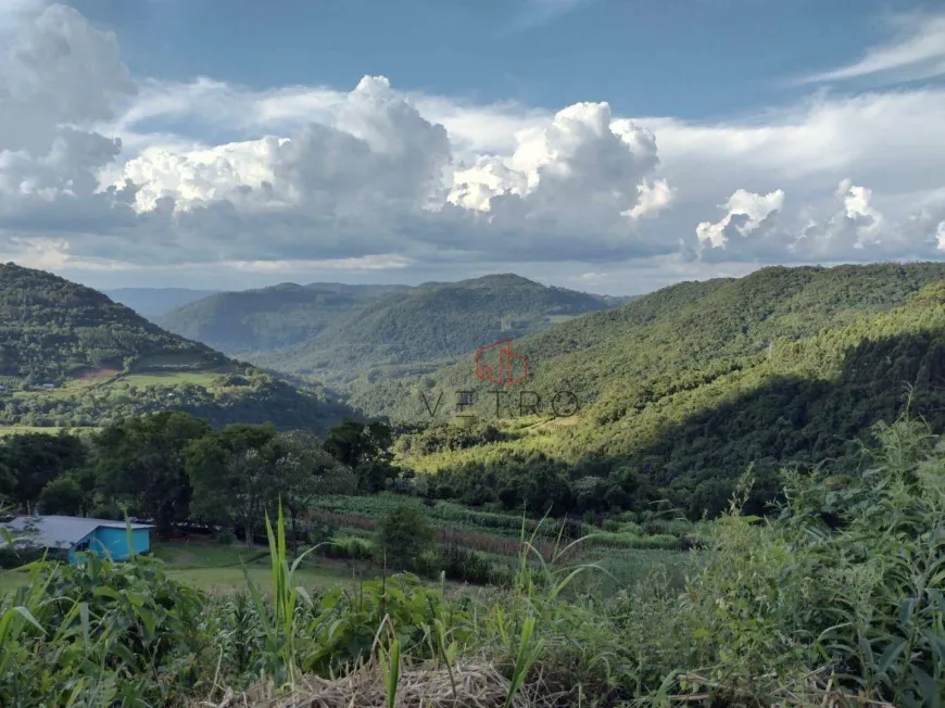 Foto 1 de Fazenda/Sítio com 2 Quartos à venda, 166m² em Linha Olinda, Nova Petrópolis