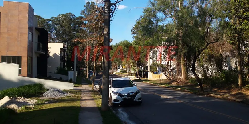 Foto 1 de Lote/Terreno à venda, 251m² em Tucuruvi, São Paulo