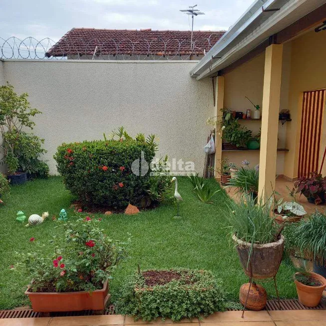 Foto 1 de Casa com 3 Quartos à venda, 177m² em Pacaembu, Uberlândia