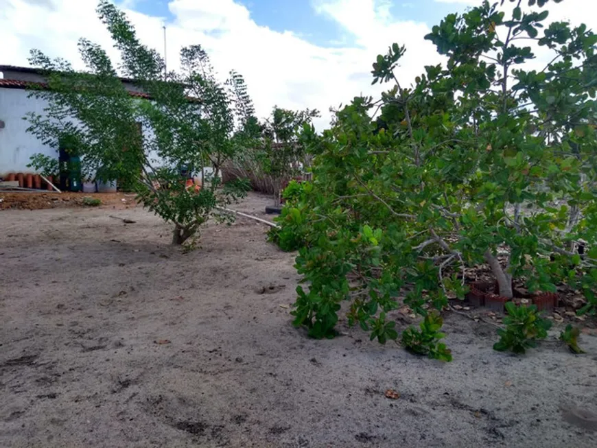 Foto 1 de Fazenda/Sítio com 3 Quartos à venda, 999m² em Centro, Vera Cruz