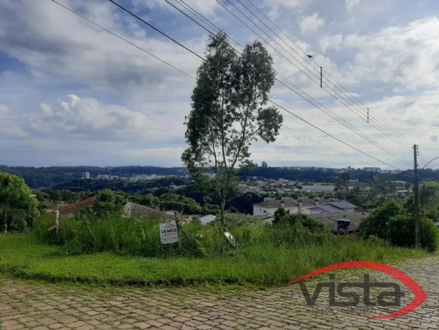 Foto 1 de Lote/Terreno à venda, 669m² em Nossa Senhora da Saúde, Caxias do Sul