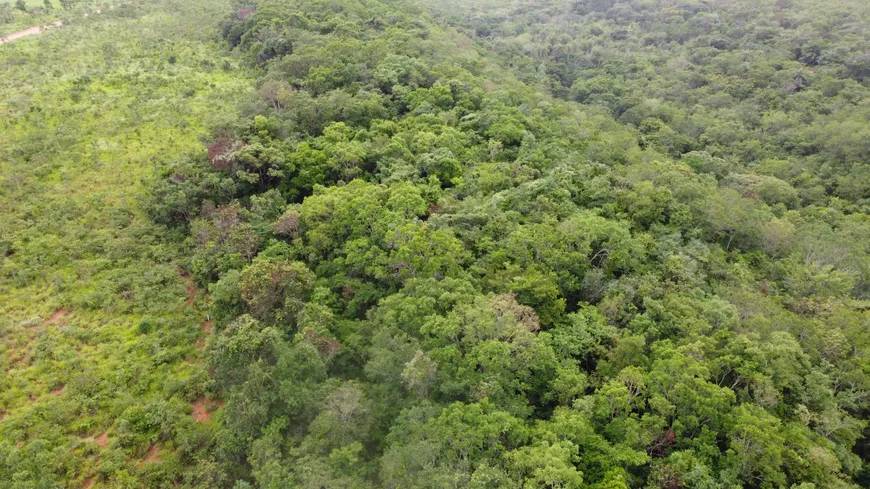 Foto 1 de Fazenda/Sítio à venda, 20000m² em Zona Rural, Jaboticatubas