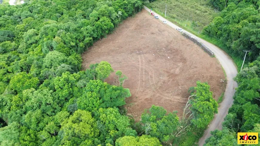 Foto 1 de Fazenda/Sítio à venda, 15728m² em Pinhal Alto, Nova Petrópolis