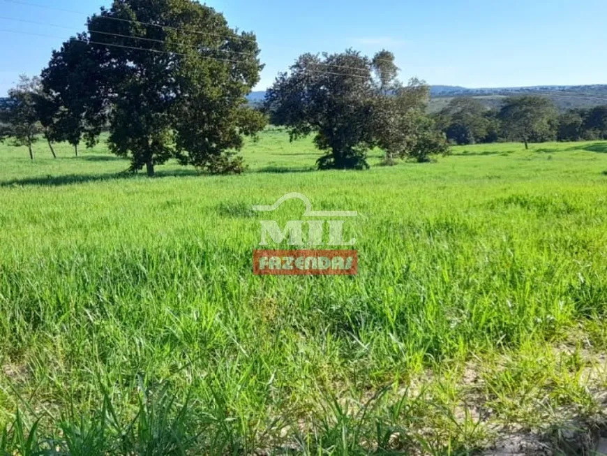 Foto 1 de Fazenda/Sítio à venda, 1000m² em Centro, Torixoréu