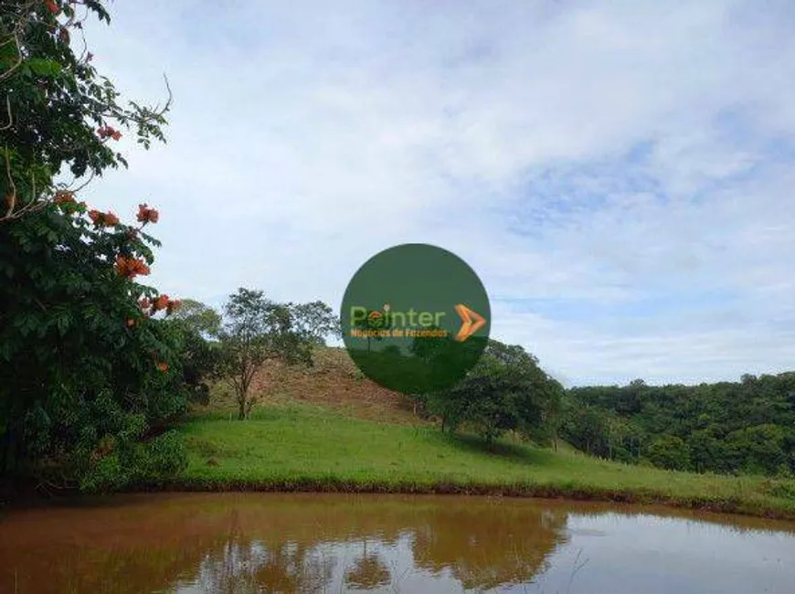 Foto 1 de Fazenda/Sítio com 2 Quartos à venda, 6292000m² em Zona Rural, Faina