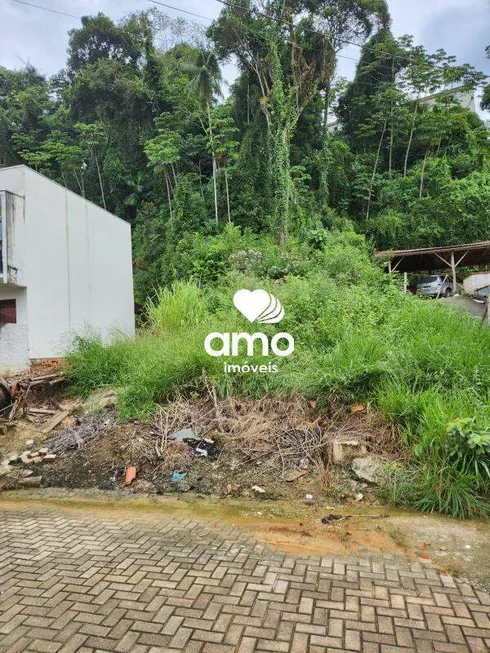 Foto 1 de Lote/Terreno à venda, 490m² em Dom Joaquim, Brusque