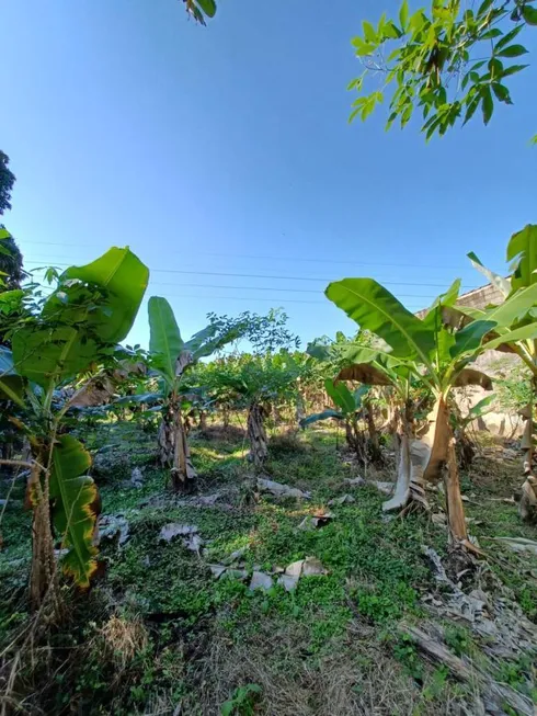 Foto 1 de Lote/Terreno à venda, 1600m² em Ana Dias, Itariri