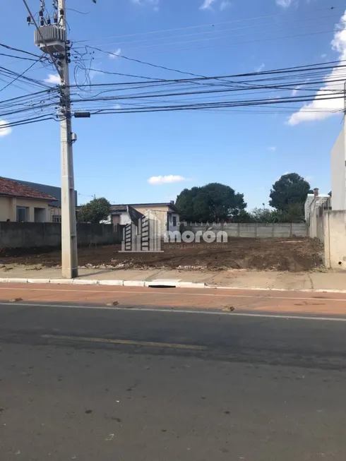 Foto 1 de Lote/Terreno para alugar, 495m² em Jardim Carvalho, Ponta Grossa