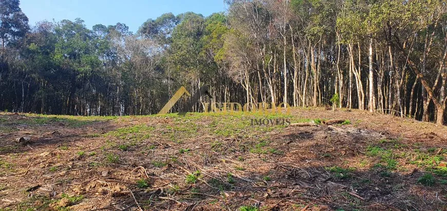 Foto 1 de Fazenda/Sítio à venda, 20000m² em Centro, Campo Largo