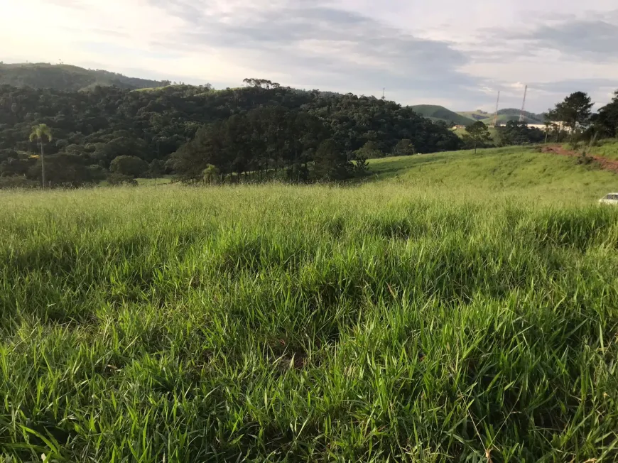 Foto 1 de Lote/Terreno à venda, 500m² em Itapeti, Mogi das Cruzes