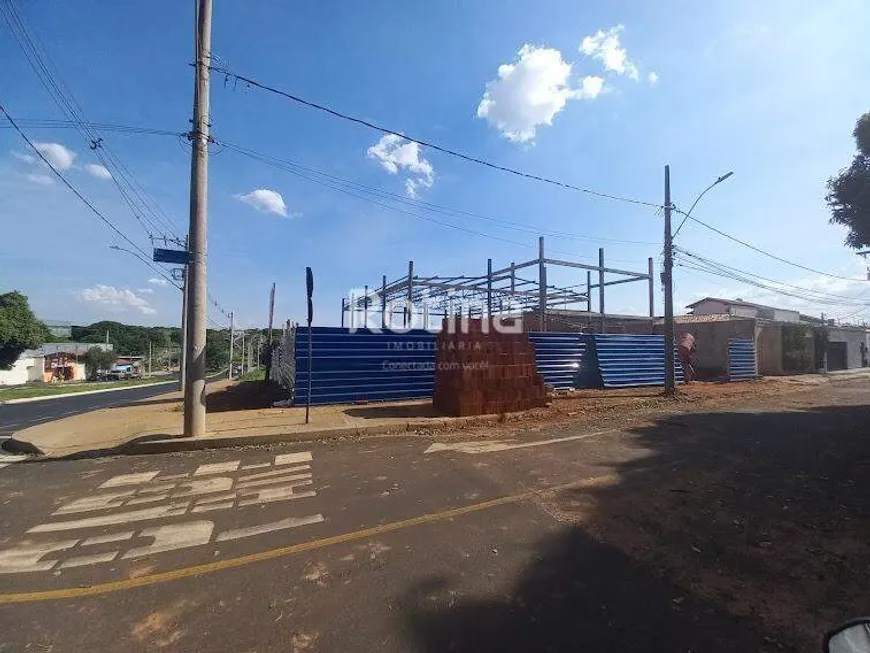 Foto 1 de Ponto Comercial para alugar, 77m² em Vigilato Pereira, Uberlândia