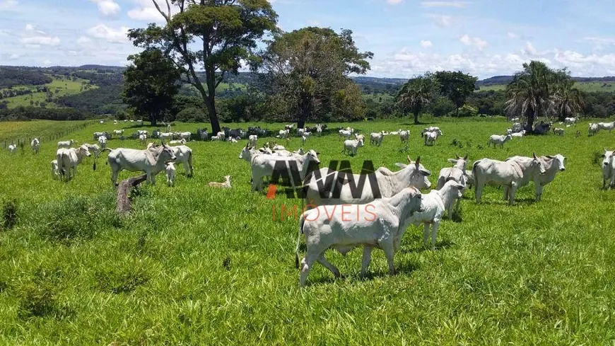 Foto 1 de Fazenda/Sítio à venda, 5008300m² em Centro, Leopoldo de Bulhões