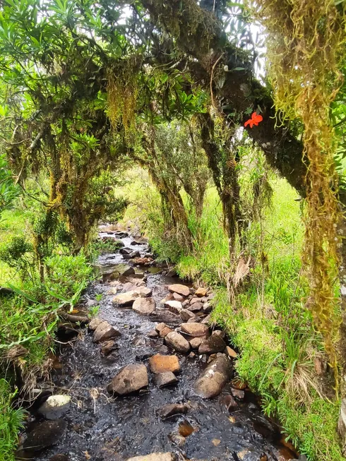 Foto 1 de Fazenda/Sítio à venda em Zona Rural, Urubici