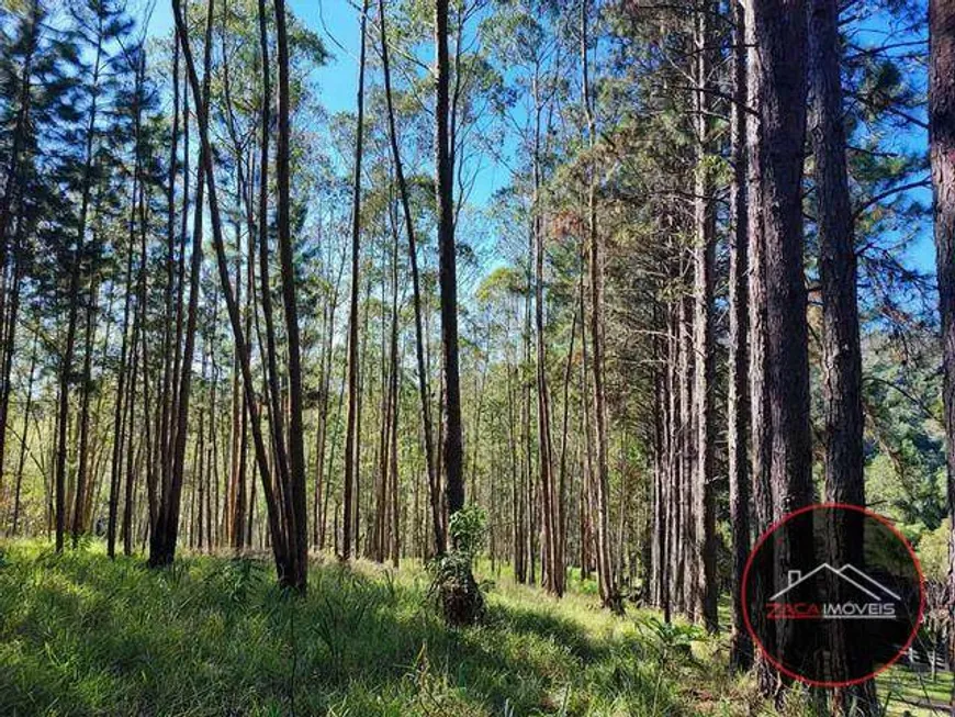 Foto 1 de Fazenda/Sítio à venda, 648000m² em Quatinga, Mogi das Cruzes