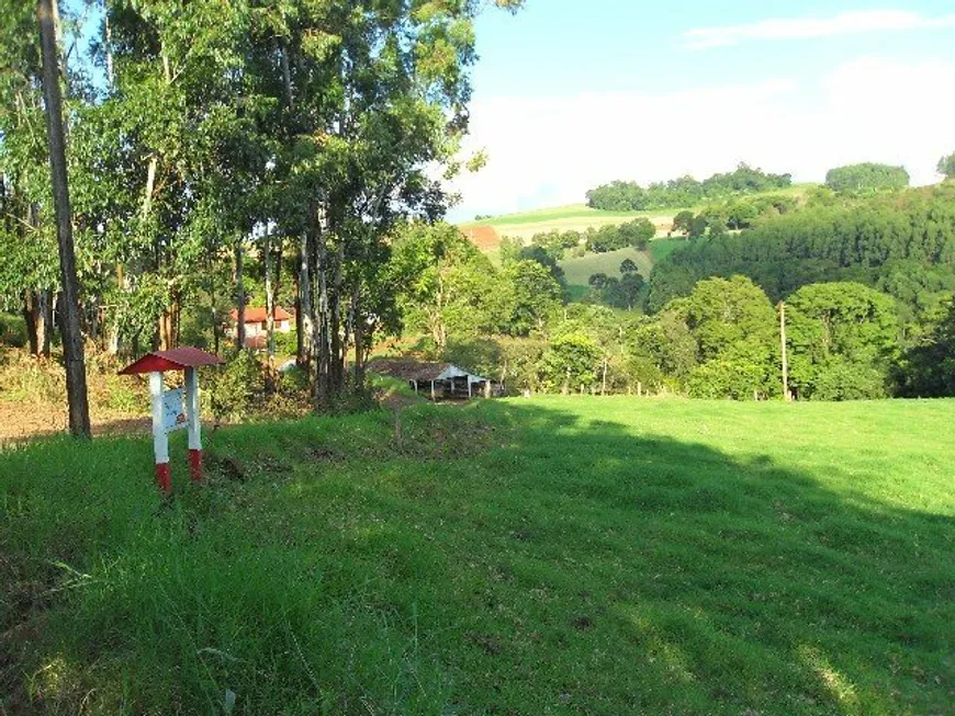 Foto 1 de Fazenda/Sítio com 3 Quartos à venda, 158000m² em Alto da Serra, Chapecó