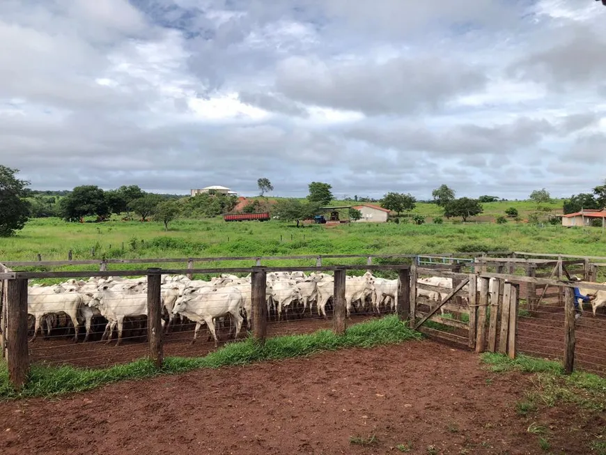 Foto 1 de Fazenda/Sítio à venda, 5000m² em Zona Rural, Goiatins