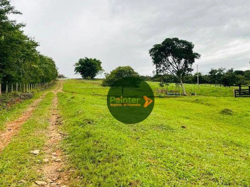 Foto 1 de Fazenda/Sítio com 4 Quartos à venda, 387200m² em Zona Rural, Bela Vista de Goiás