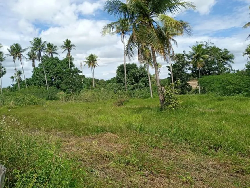 Foto 1 de Fazenda/Sítio à venda, 1500000m² em Guajiru, São Gonçalo do Amarante